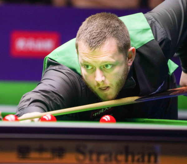 揭露惊人内 揭露惊人内